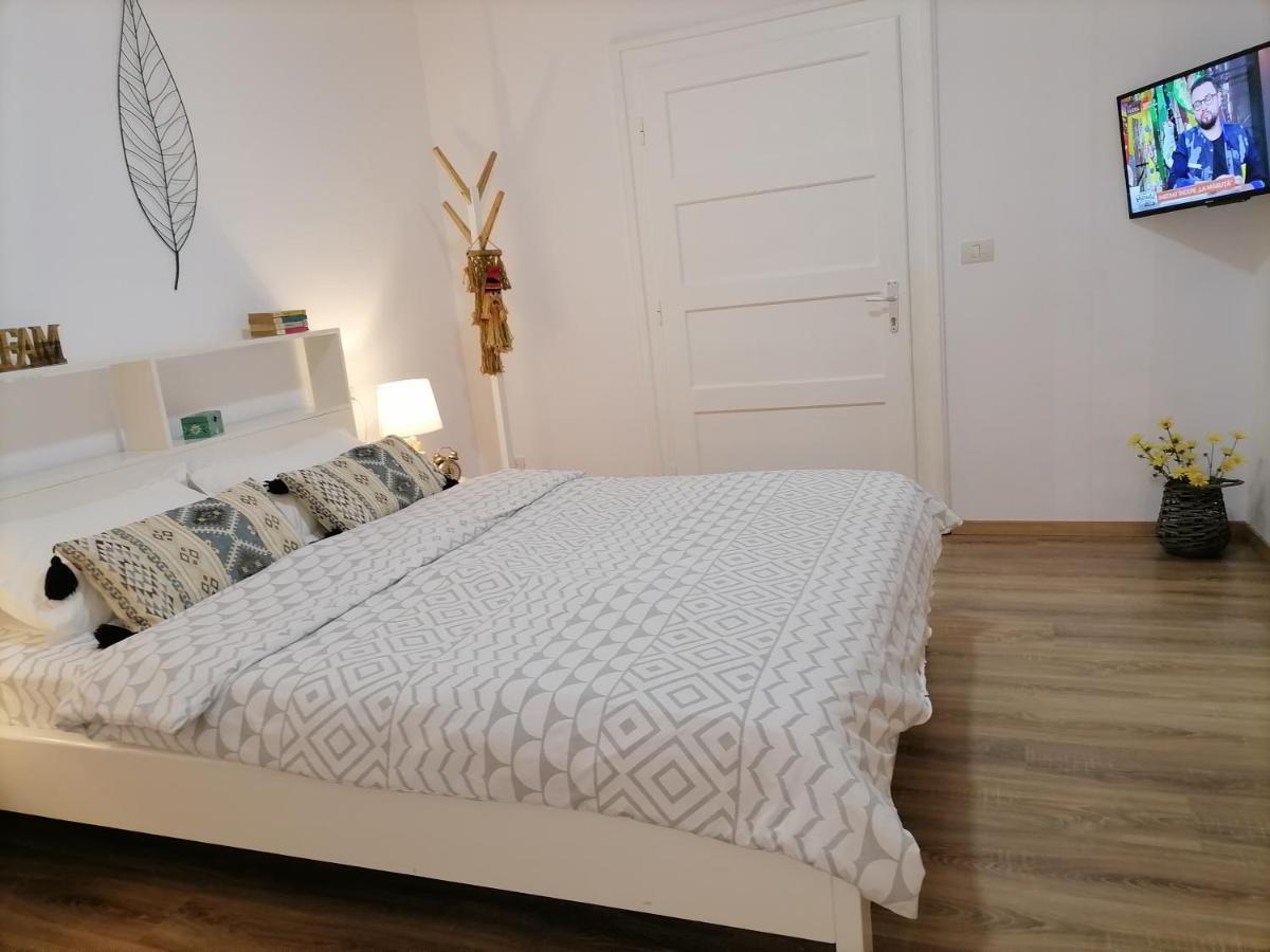 Gazde/Camere de închiriat Casa Bologna *