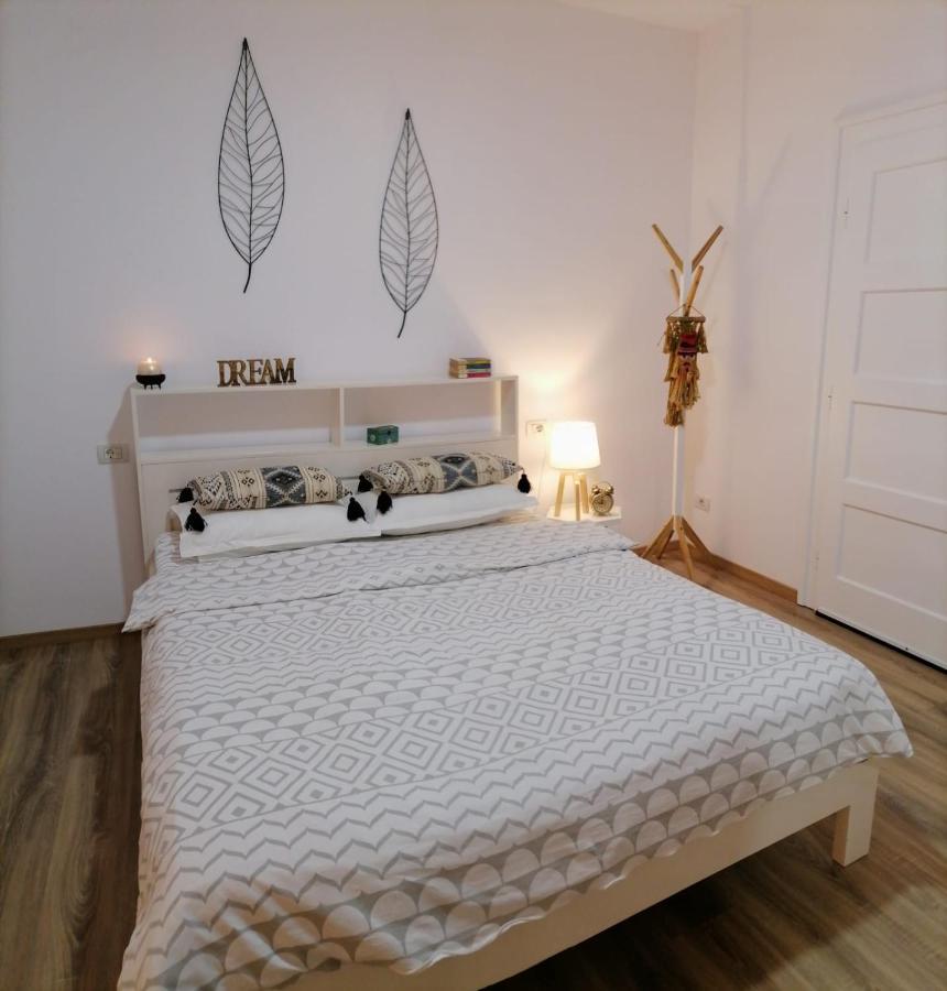 Gazde/Camere de închiriat Casa Bologna *